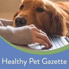 Email-Subscribe-cover-IG