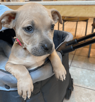 Healing With Zoey - Baby Zoey-1