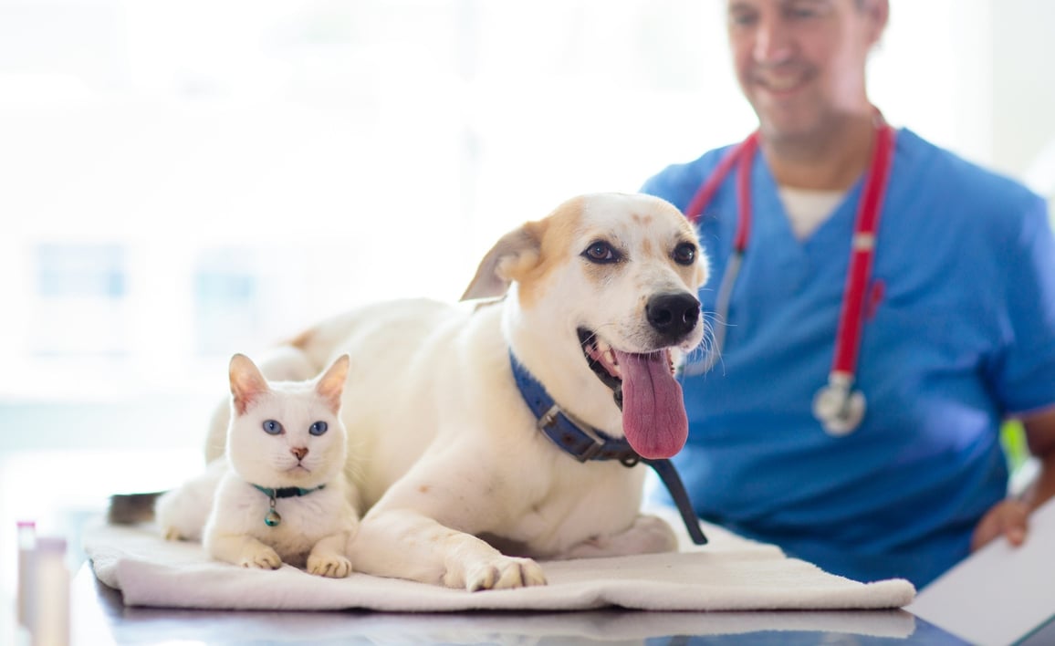 Helping More Pets Stay Healthy at Home