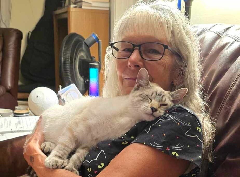 Kit and her Cat MoCROI