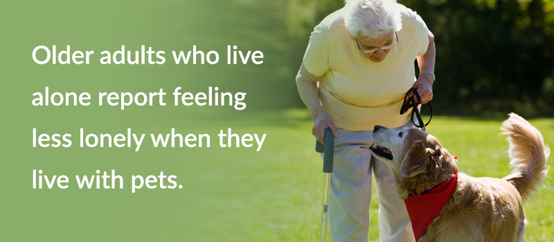 Helping-People-with-Pets-in-Need-4