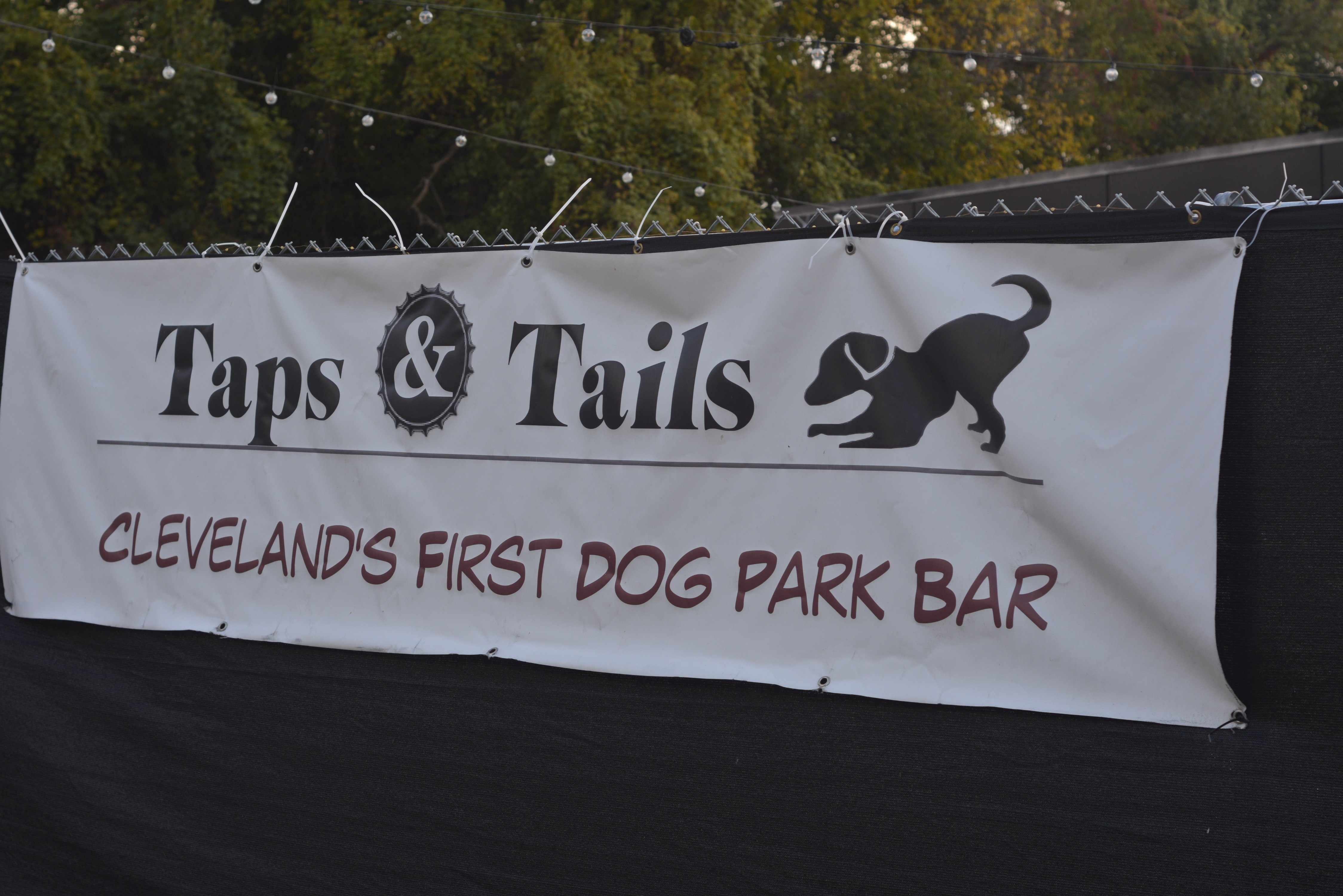 Taps&Tails-Banner