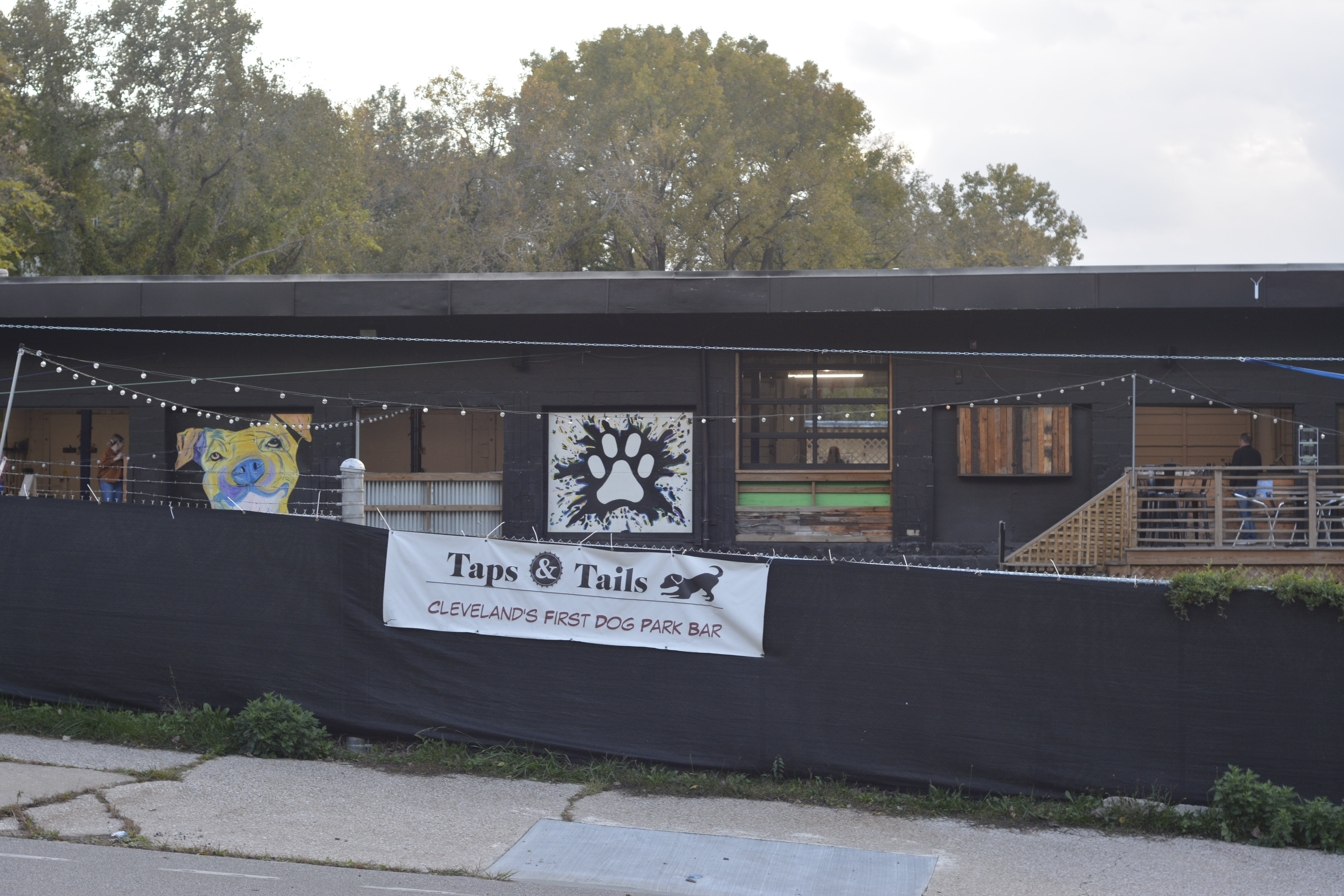 Taps&Tails-DogPark