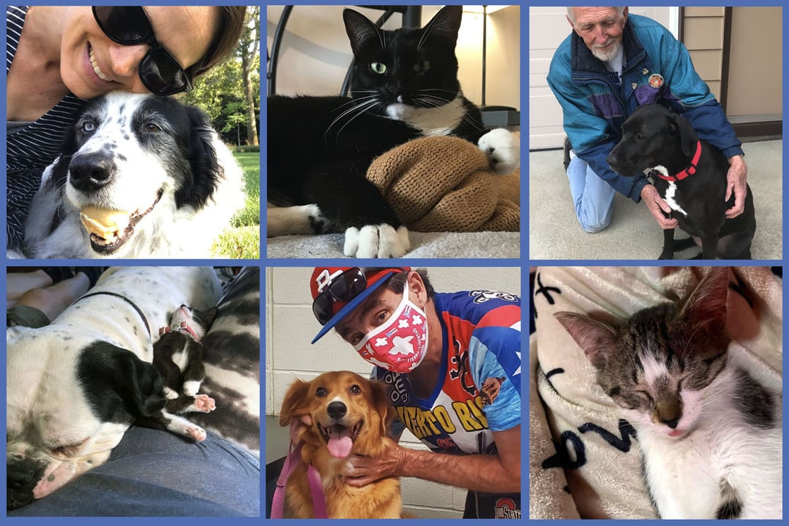 The-Many-Adorable-Faces-of-Success-Veterinary-Vouchers-to-the-Rescue