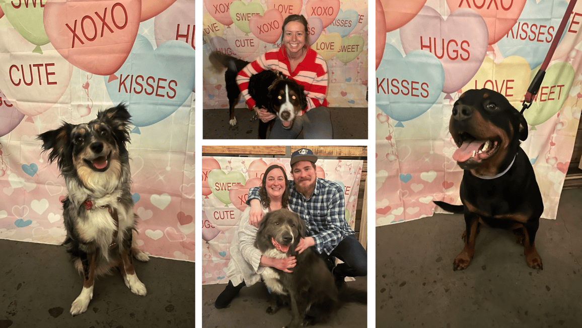 Valentines Day Pawty-1