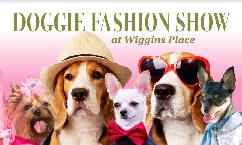 doggie fashion show