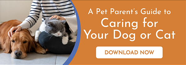 Download the Pet Parent's Guide to Caring for Your Dog or Cat
