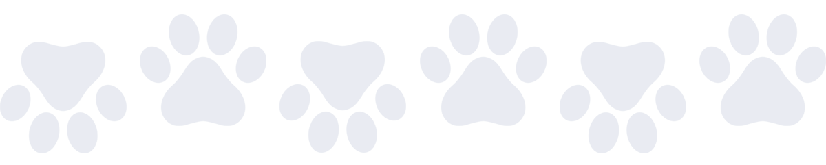 bg-paws