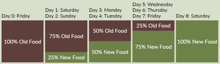 Should You Buy Wet or Dry Cat Food