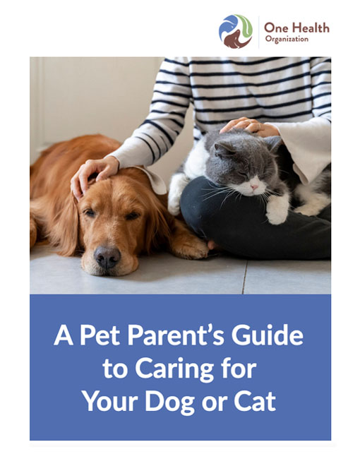 A Pet Parent's Guide to Caring for Your Dog or Cat