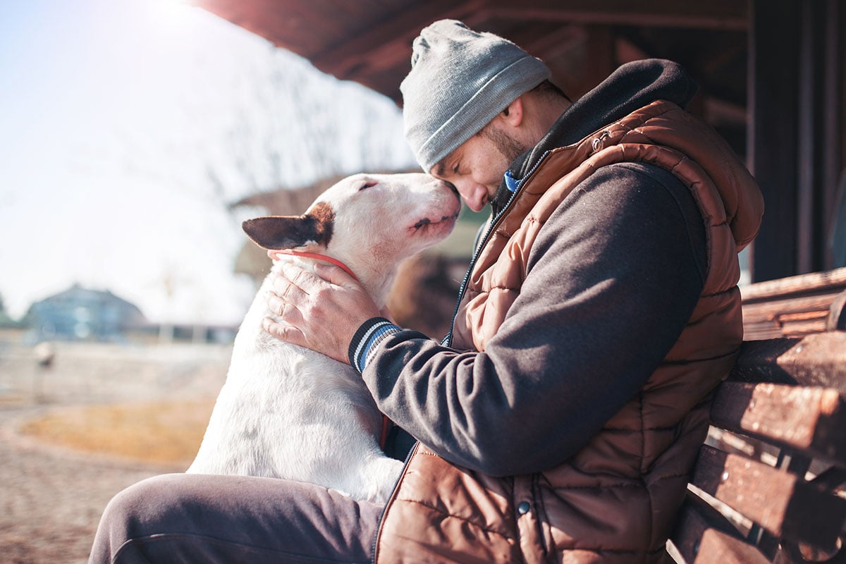 The Power of the Human-Animal Bond